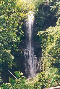 Maui - Waterfall -   Petra Kaiser www.petra-kaiser.de