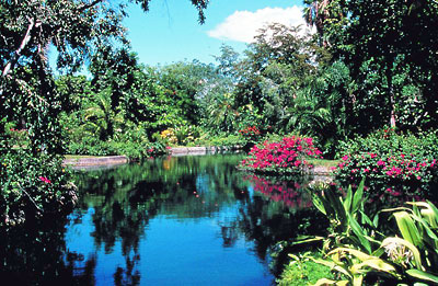 Garden of the Groves  Bahamas Tourist Office