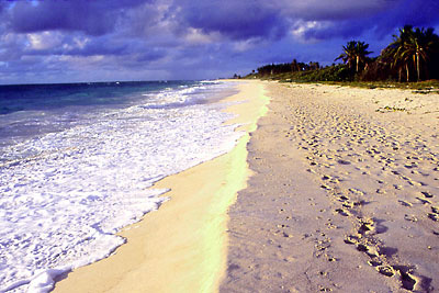 Longbeach  2004 Barbados Tourism Authority